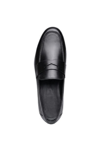 Cavallo Leather Shoes