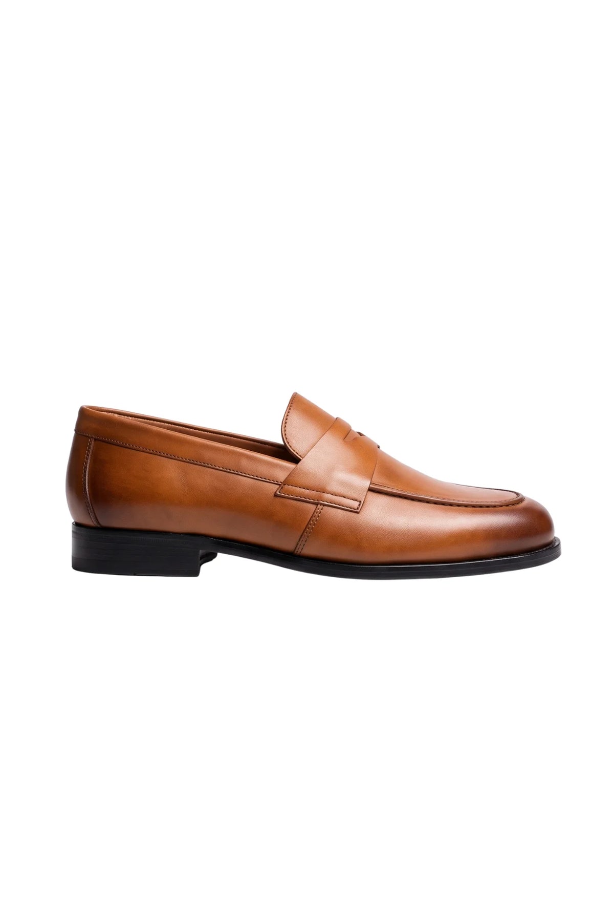 Cavallo Leather Shoes